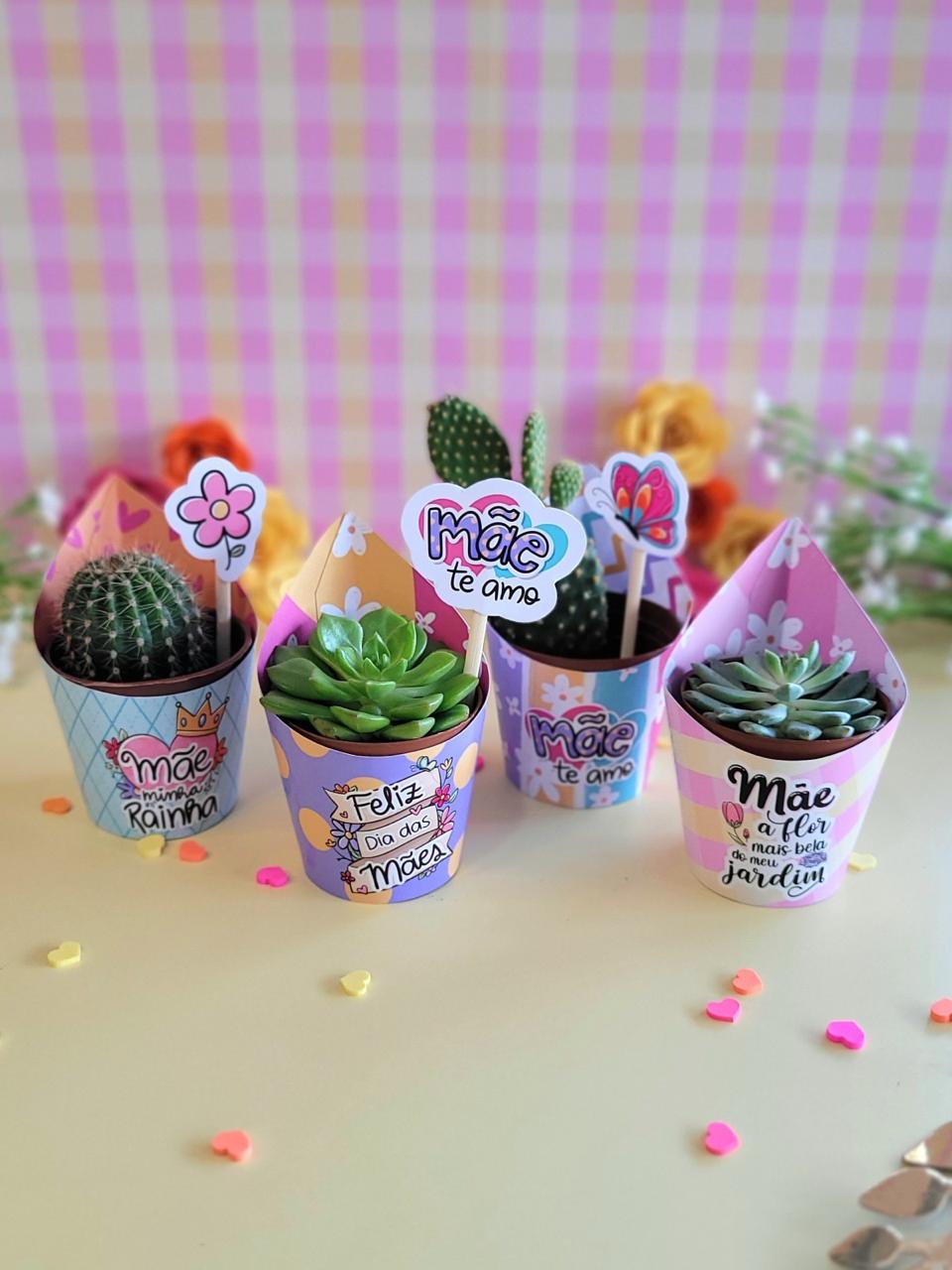 Mini suculenta - Dia das Mães